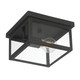 Millennium - 4201-PBK - One Light Flush Mount - Evanton - Powder Coated Black