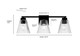 Riville Three Light Vanity (63003-MB)
