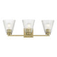 Riville Three Light Vanity (63003-VB)