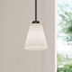 Strayhan One Light Mini Pendant (64101WG-MB)