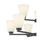 Strayhan Nine Light Chandelier (64109WG-MB)