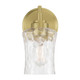 Clarvyn One Light Wall Sconce (909101-VB)