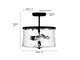 Clarvyn Two Light Semi-Flush Mount (909201-MB)