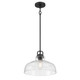 Millennium - 98101-MB - One Light Pendant - Clarien - Matte Black