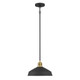 Axlen One Light Pendant (9941-MB/VB)
