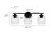 Miravelle Three Light Vanity (9993-MB)
