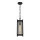 Jacobs One Light Outdoor Hanging Lantern (5-3806-BK)