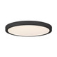 LED Flush Mount (6-3333-15-BK)