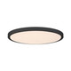 LED Flush Mount (6-3333-20-BK)