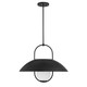 Lehigh One Light Pendant (7-3070-1-89)