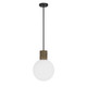 Jarrell One Light Pendant (7-4082-1-89)