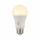 Light Bulb (LA1A19P9CE26D)