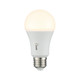 Light Bulb (LA1A19P9CE26D)