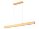 Hudson LED Linear Chandelier (1016-55L-GLD-LED)