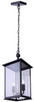 Rossland Two Light Outdoor Pendant (IOL769BK)