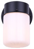 Jude One Light Outdoor Down Light (IOL771BK)