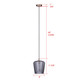 Leandro One Light Pendant (IPL1249A01GD-SR)