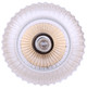 Malek One Light Pendant (IPL1250A01GD-CR)