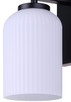 Bram One Light Wall Sconce (IVL1241A01BK)