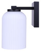 Bram Two Light Vanity (IVL1241A02BK)