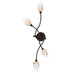 Lib & Co. - 12312-043 - LED Wall Mount - Modena - Black with gold accent