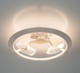 Nettuno LED Ceiling Mount (12313-041)