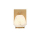 Lib & Co. - 12349-030 - LED Wall Mount - Lucidata - Painted antique brass