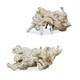 Uttermost - 17141 - Sculpture - Elemental Root - Bleached Residi Wood