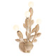Branche Four Light Wall Sconce (527021WIV)