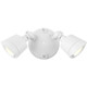 Savoy House - 4-FLOOD-A2-3CCT-WH - LED Double Flood Light - White