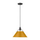 Orwell One Light Pendant (3306-L BLK-AY)