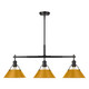 Orwell Three Light Linear Pendant (3306-LP BLK-AY)