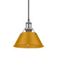 Golden - 3306-S PW-AY - One Light Pendant - Orwell - Pewter
