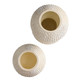 Kayli Vases, Set of 2 (AVS13)