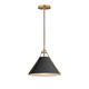 Maxim - 25229BKNAB - One Light Pendant - Lucas - Black / Natural Aged Brass Maxim - 25229BKNAB - One Light Pendant - Lucas - Black / Natural Aged Brass