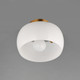Glazed One Light Flush Mount (26149WTNAB)