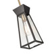 Lucian One Light Pendant (AC11850BK)