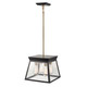 Lucian Four Light Chandelier (AC11851BK)