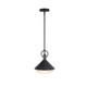 Abruzzo One Light Pendant (AC11861BK)