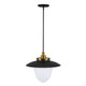 Dahlia Three Light Pendant (AC11906BB)