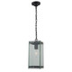 Artcraft - AC8135BK - One Light Outdoor Pendant - Bradgate - Matte Black & Harvest Brass