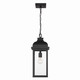 Madrid One Light Outdoor Pendant (AC8185BK)