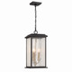 Estate Three Light Outdoor Pendant (AC9275BK)