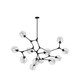 Organic 12 Light Chandelier (JA14022BK)