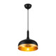 Dash One Light Pendant (SC13350BK)