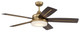 Drew 54" Ceiling fan, no Wifi 54" Ceiling Fan (DRW54SB5-NWF)