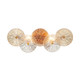 Eurofase - 45700-019 - Two Light Vanity - Sue-Anne - Matte Gold