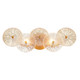 Sue-Anne Two Light Vanity (45700-019)