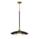Welsh LED Pendant (46441-041)