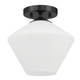 Hunter - 48106 - One Light Flush Mount - Celestial Valley - Matte Black